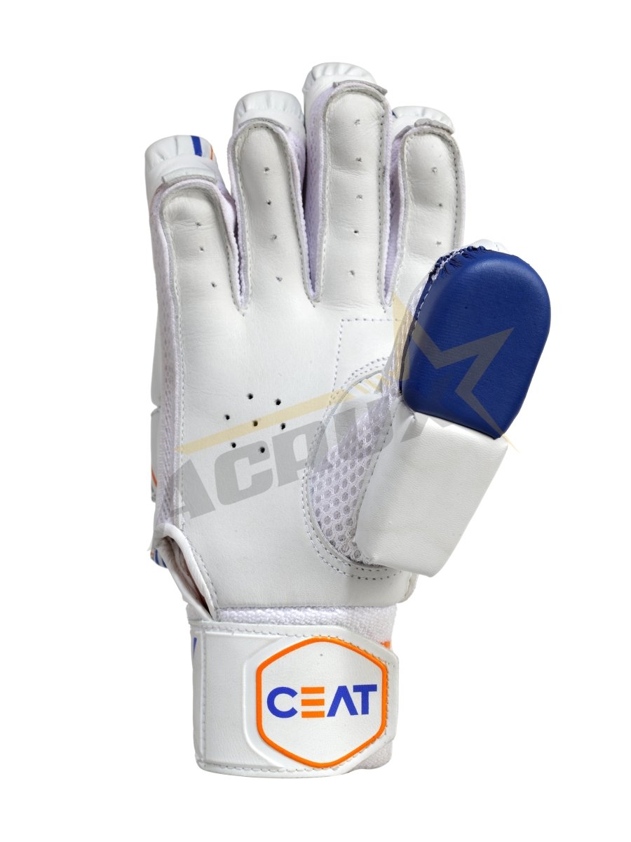 CEAT Gripp Master Youth Cricket Batting Gloves.