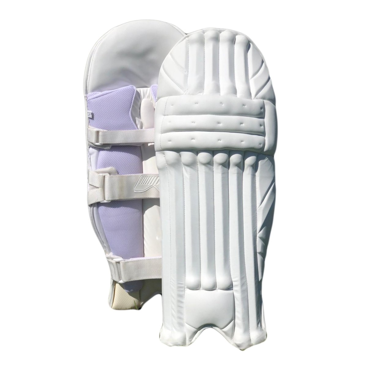 Cricket Batting Gloves RP-14 +Clean Skin Batting Pads Combo