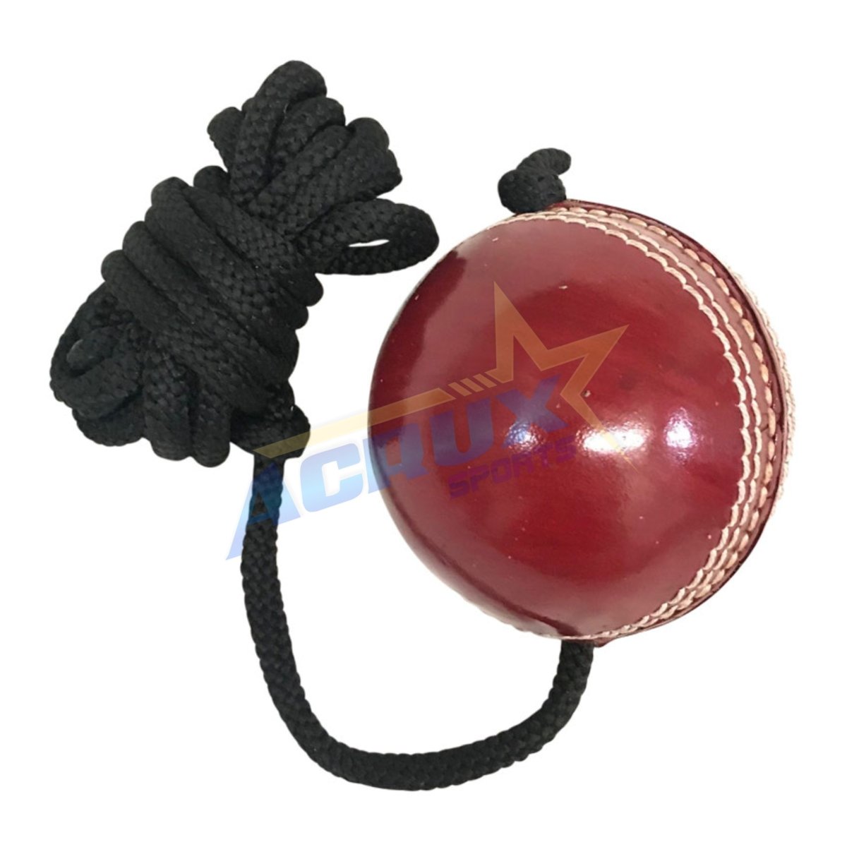 Cricket Hanging Ball Leather.