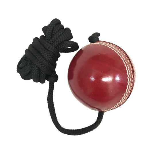 Cricket Hanging Ball Leather.