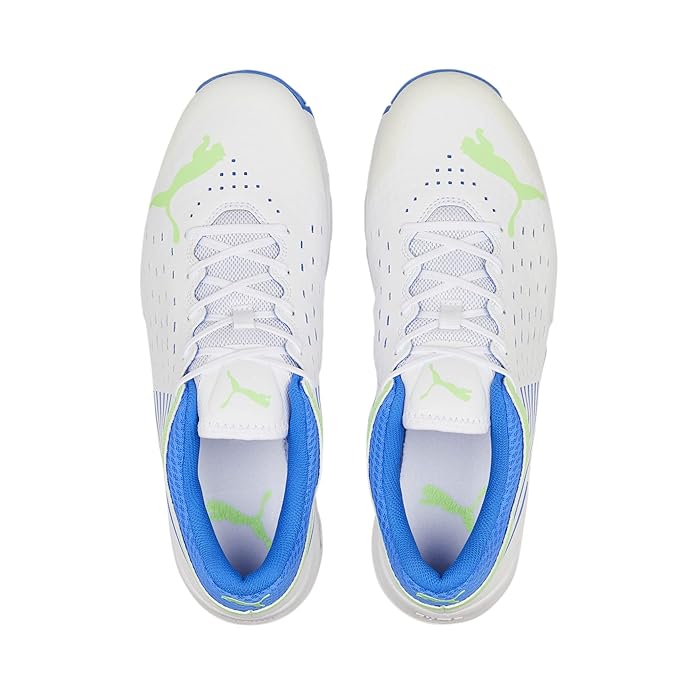 Puma 22.2 Cricket Shoes With Steel Spikes - White/Green/Blue