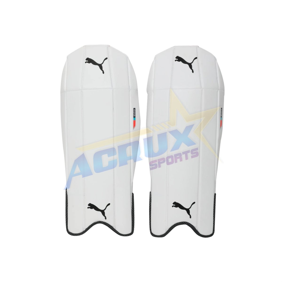 Puma Evo 3 Cricket Wicket Keeping Pad Youth.