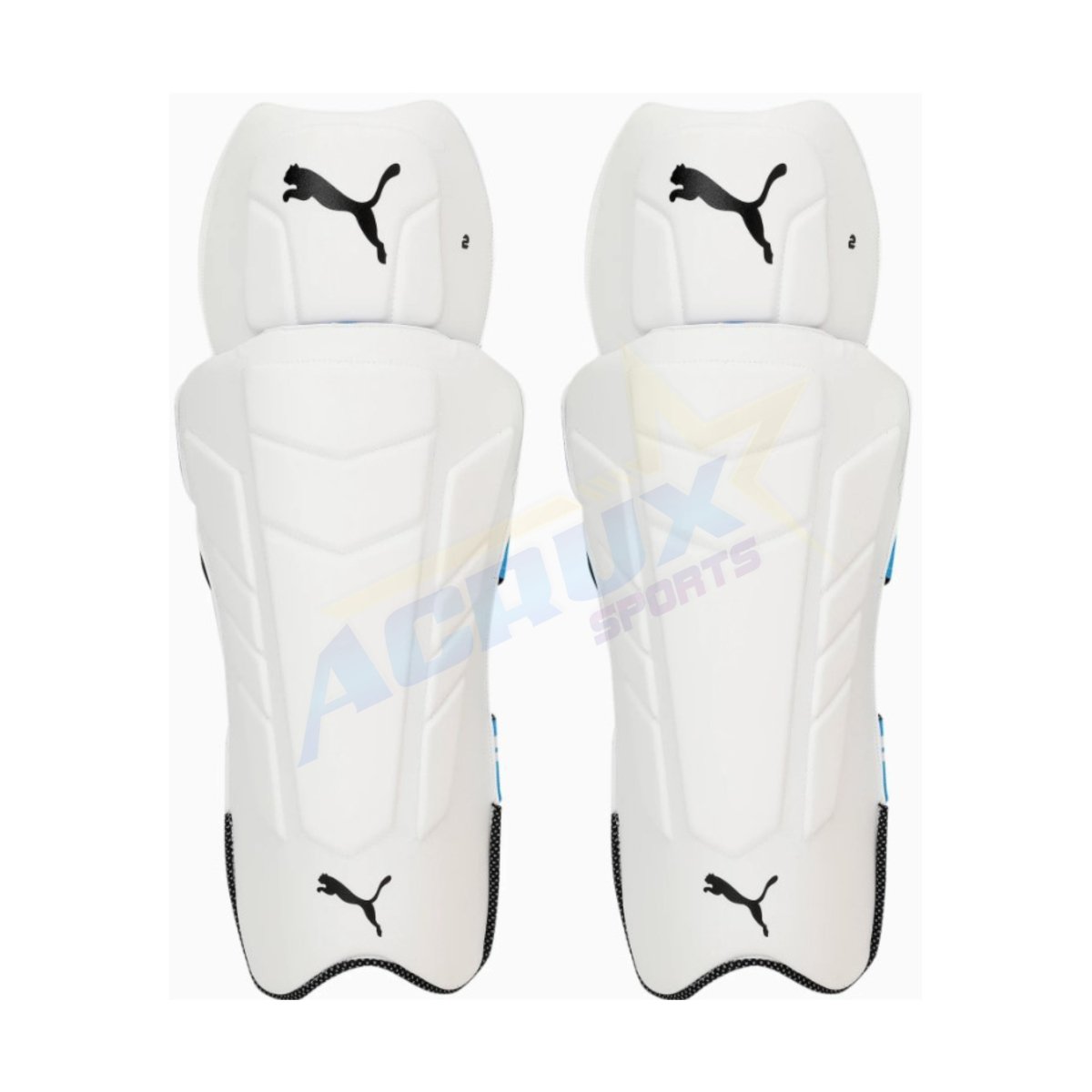 Puma Future 20.2 Mens Cricket Wicket Keeping Pads - Acrux Sports